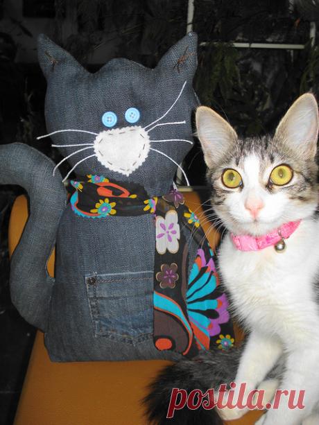 Gato sem botas | Flickr - Photo Sharing!