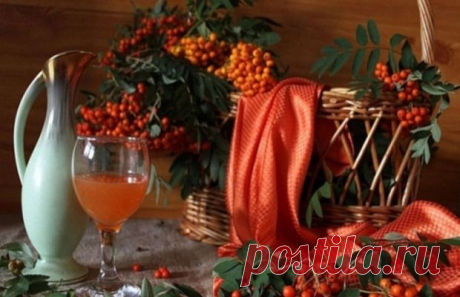 Рябиновая настойка в домашних условиях - точный рецепт