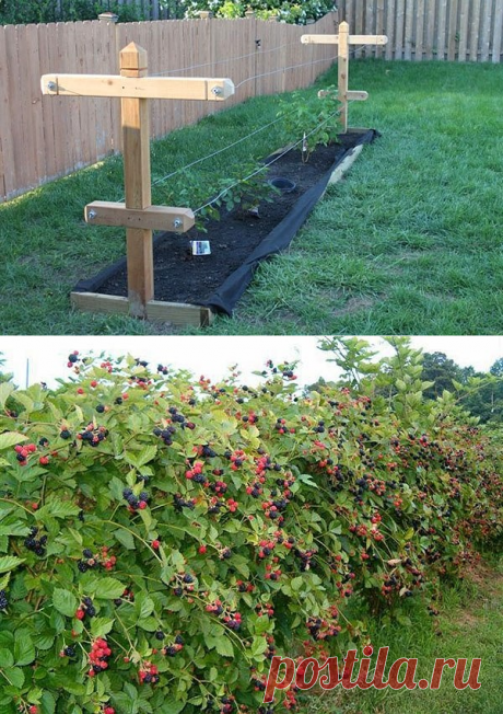 Одноклассники