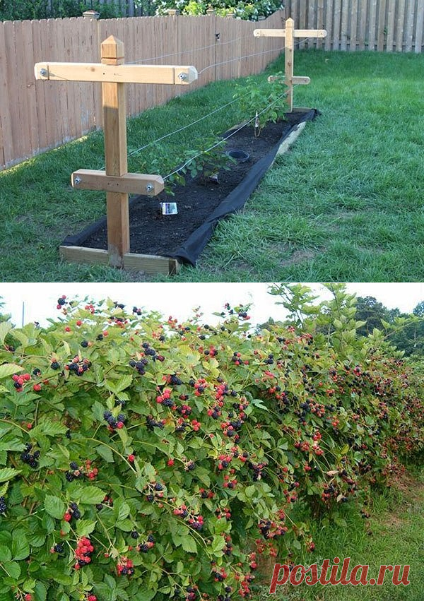 Одноклассники