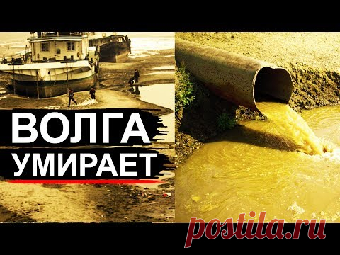Волга на грани! Обмеление и грязь