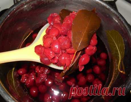 Наливка из вишни с листьями - лучший сайт кулинарии