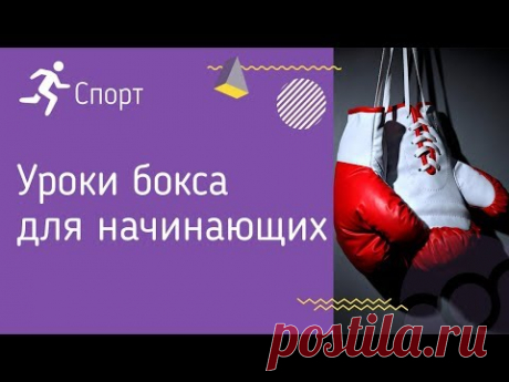 Уроки бокса для начинающих