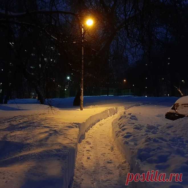 Яндекс Картинки: поиск похожих изображений