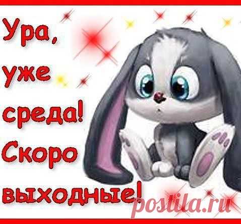 Приложение "Открытки"
Ирина Подгорная