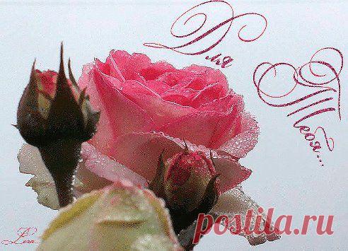 Одноклассники