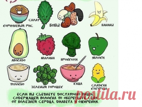 Академия здоровой жизни - полезное