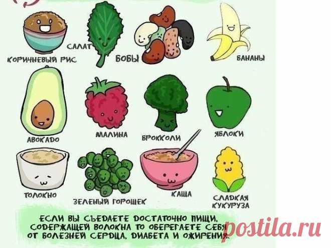 Академия здоровой жизни - полезное