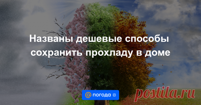 Чтобы сохранить комфортную температуру в помещении, можно использовать пищевые пленки, лед и растения.