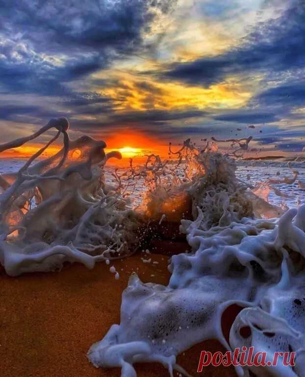 i (622×768)