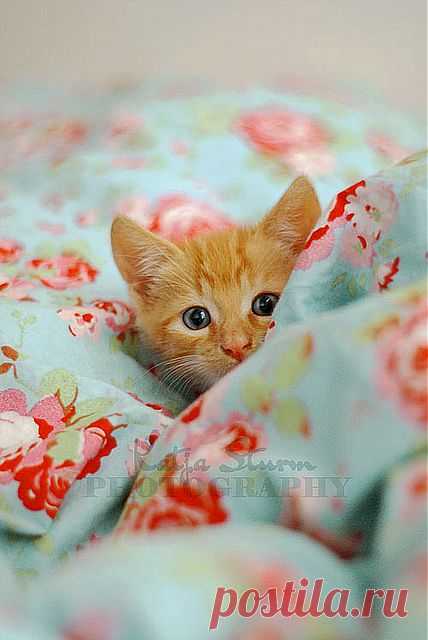 Untitled | Flickr - Photo Sharing!