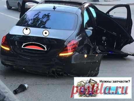 Петрович Онлайн