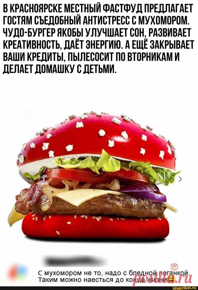 В КРАСНОЯРСКЕ МЕСТНЫЙ ФАСТФУД ПРЕДЛАГАЕТ ГОСТЯМ СЪЕДОБНЫЙ АНТИСТРЕСС С МУХОМОРОМ. ЧУДО-БУРГЕР ЯКОБЫ УЛУЧШАЕТ СОН, РАЗВИВАЕТ КРЕАТИВНОСТЬ, ДАЕТ ЭНЕРГИЮ. А ЕЩЕ ЗАКРЫВАЕТ ВАШИ КРЕДИТЫ, ПЫЛЕСОСИТ ПО ВТОРНИКАМИ ДЕЛАЕТ ДОМАШКУ С ДЕТЬМИ. С мухомором не то, надо с бледной поганкой. Таким можно наесться до конца жизни - ) / АйДаПрикол .)