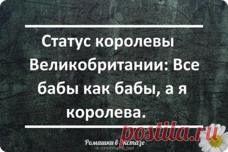 ✔ Ромашки в Экстазе