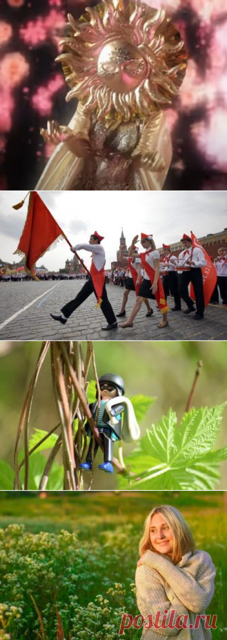 Новости и сплетни российских знаменитостей. Марина Кравиц Василиса Володина.
На днях публика была возмущена тем, что Марине Кравиц, выступавшей на шоу Маски в образе Солнца, пришлось покинуть шоу из-за дочери Филипа Киркорова. Публика признаётся в любви Марине Кравец в комментариях и ссыплет негодования в сторону Аллы-Виктории и Киркорова. Вот такие комментарии пишут люди: «вот если бы Киркоров...
Читай дальше на сайте. Жми подробнее ➡