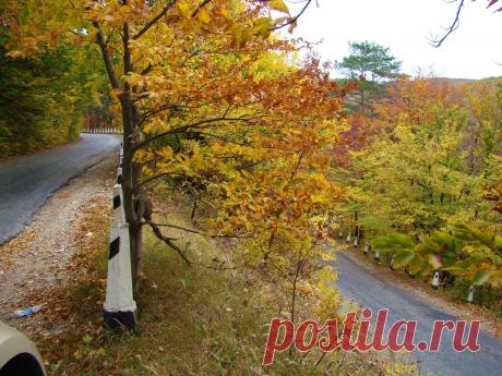 (49) Одноклассники