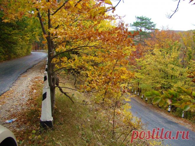 (49) Одноклассники