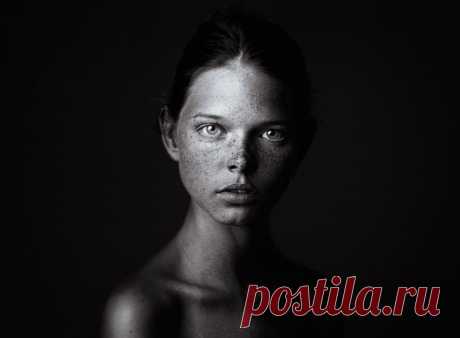 Победители фотоконкурса HIPA 2015 / Всё самое лучшее из интернета