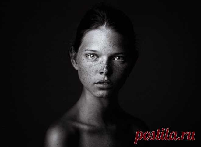 Победители фотоконкурса HIPA 2015 / Всё самое лучшее из интернета