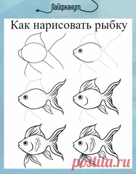 Как нарисовать красивую рыбку