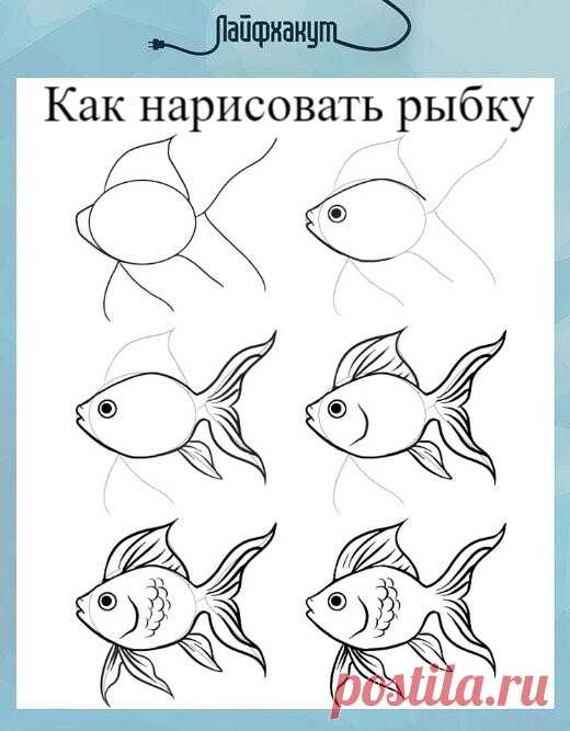 Как нарисовать красивую рыбку