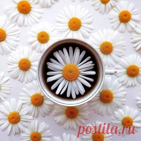 (2) Facebook