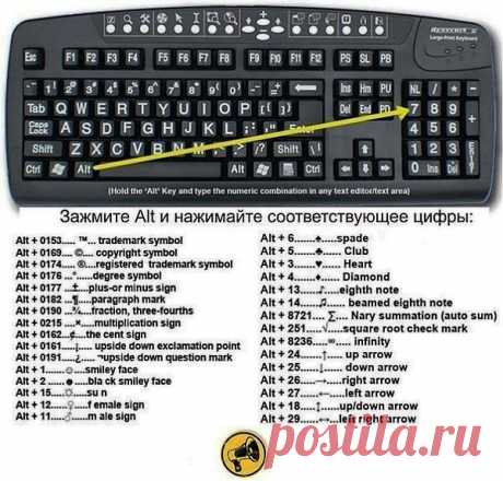 Фотографии на стене сообщества | 32 767 фотографий | ВКонтакте