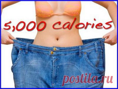 Без заголовка.