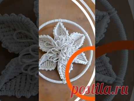 Flower in Circle DIY #macrame