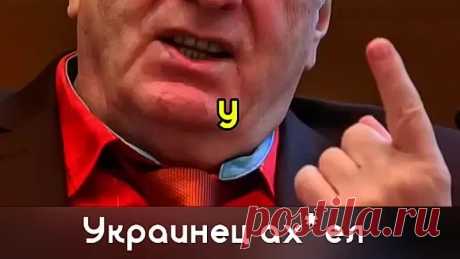 Все верно сказал Жириновский!