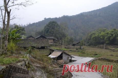 День 43. Затерянный в зелёных деревнях