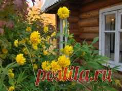 Мой уютный дом – Страница 13 из 21 – Lisa.ru