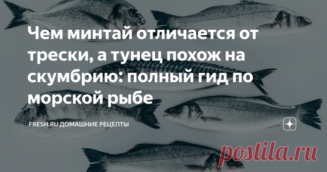 Чем минтай отличается от трески, а тунец похож на скумбрию: полный гид по морской рыбе На прилавке можно встретить самую разную морскую рыбу – треску, путассу, ставриду, палтуса. Как отличить один вид от другого? Какое мясо более жирное, а какое диетическое? В какой рыбе много костей, а какую можно совсем не чистить? Ответы на эти и другие вопросы можно прочитать в нашем полном гиде по морской рыбе.
Источник: www.depositphotos.com
Традиционно морская рыба считается более полезной и