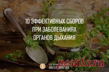 10 ЭФФЕКТИВНЫХ СБОРОВ ПРИ ЗАБОЛЕВАНИЯХ ОРГАНОВ ДЫХАНИЯ
