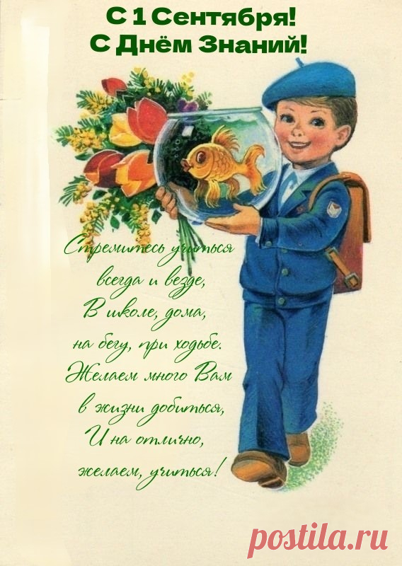 День знаний дарит счастьем всем,
Умом чтоб головы все наполнялись,
Не будет места глупости совсем,
Пополнить багаж знаний чтоб старались!