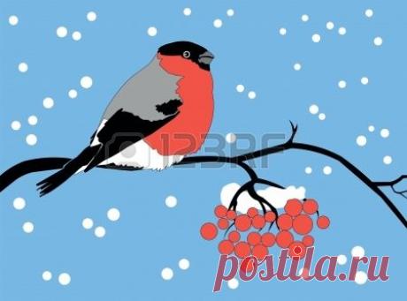 снегири зимой фото - Поиск в Google