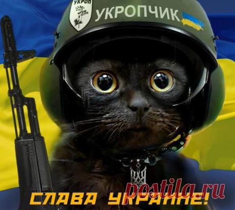 oleg_leusenko: Ликбез для Путина: дидываивале и легион СС (фото, видео)