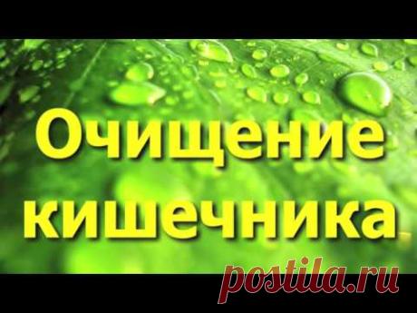 Очищение организма при помощи семени льна - профилактика и лечение многих заболеваний.