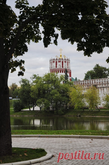 Любуясь красотой