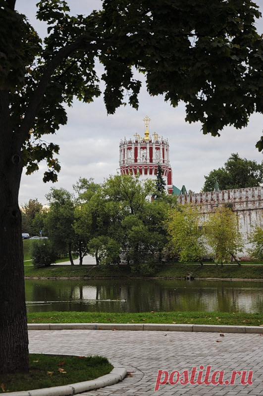 Любуясь красотой