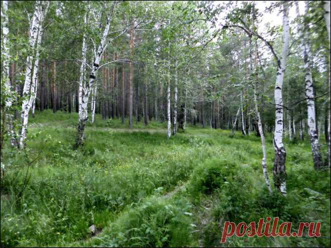 Русское раздолье.