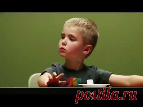 Зефирный экзамен - YouTube