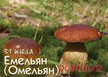 31 ИЮЛЯ – ДЕНЬ ЕМЕЛЬЯНА. В народе замечали 31 июля, что дни стали намного короче, а по ночам достаточно прохладно. Это было время заготовок и консерваций, поскольку появлялось большое количество фруктов, ягод, овощей – их стремились сохранить для того чтобы не голодать в зимний период.