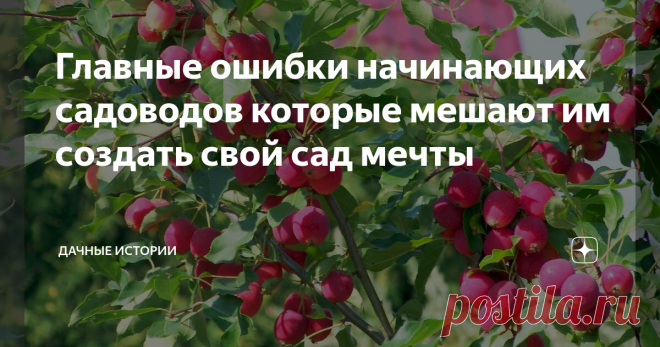 Главные ошибки начинающих садоводов которые мешают им создать свой сад мечты Добрый день, дорогие друзья, садоводы и огородники! Приветствую вас в нашем сообществе «Дачные истории». Садоводство становится все более популярным. В условиях самоизоляции многие люди вспомнили, что у них есть дачи, на которые раньше не хватало ни времени, ни сил. А сад — такое дело, как только начнешь что-то сажать, увлекаешься этим и уже не можешь остановиться. Очень эффективное средство для о...