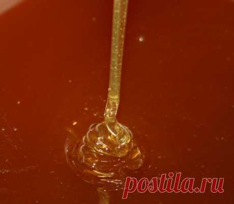 Как отличить натуральный мёд от подделки! - paceka_pavlova