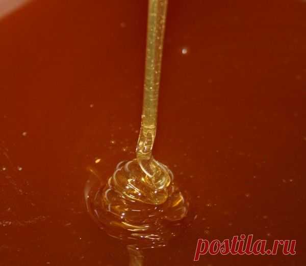 Как отличить натуральный мёд от подделки! - paceka_pavlova