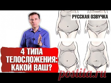 (9) 4 типа телосложения: какой ваш? (русская озвучка) - YouTube