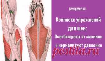 Комплекс упражнений для шеи: Освобождают от зажимов Комплекс упражнений для шеи: Освобождают от зажимов и нормализуют давление.Следующие упражнения предназначены для расслабления напряжённых мышц шеи и все вместе должны занимать 4–5 минут в день...