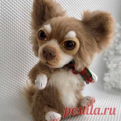 🙋🏼💕Любимчик Чихуахуа ! Ну как живой! ( pattern К. Макогон)🤗 #чихуахуа #чихуашка #чихуахуамини #чих #чихуахуамаленькаясобачка #🐕 #chihuahuasofinstagram #chihuahualover #teddychihuahua #teddybear #chihuahuafanatics #chihuahuaworld #interiortoys #memorypuppy #memorypuppies #lostpuppy #memorydog #chihuahuas #awesome #britta_viking_angel