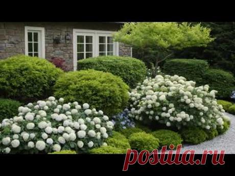 Ideas for choosing decor and landscaping the yard. Ділянка, яка відповідає вашим потребам